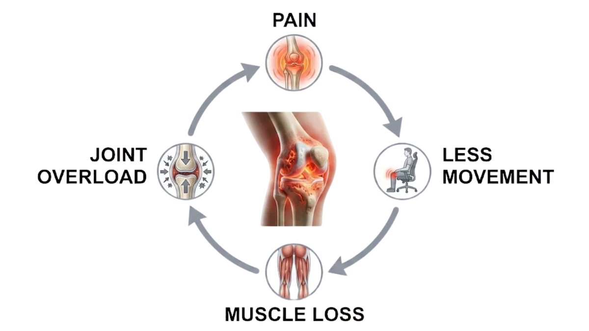 Image d'illustration